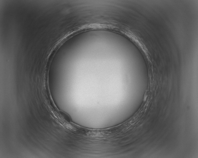 X0000084520297200702230845
