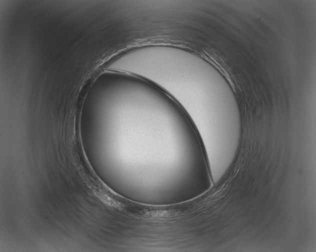 X0000084520301200702230845