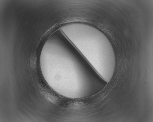 X0000084520304200702230845