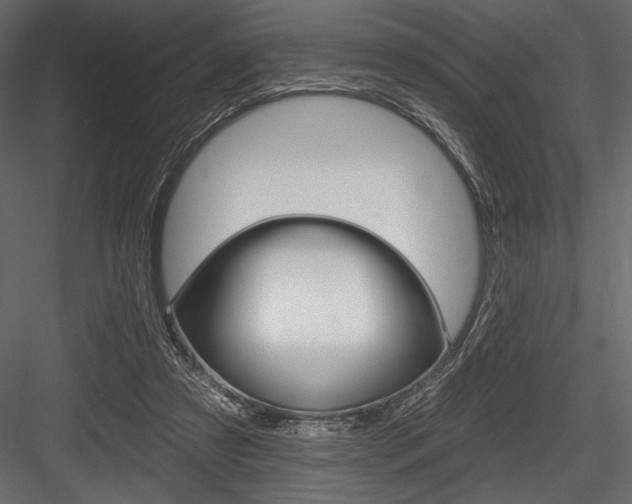 X0000084520305200702230845