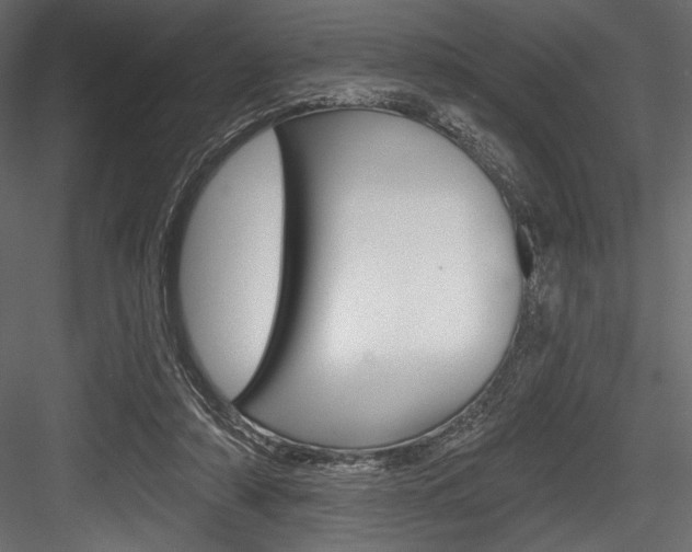 X0000084520306200702230845