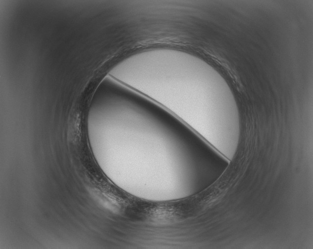 X0000084520308200702230845