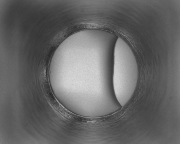 X0000084520310200702230845