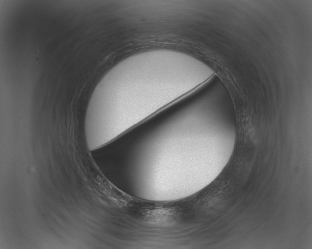 X0000084520312200702230845