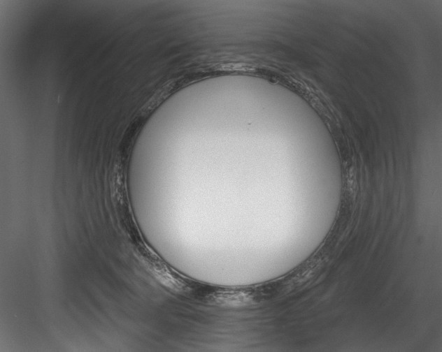 X0000084520322200702230844