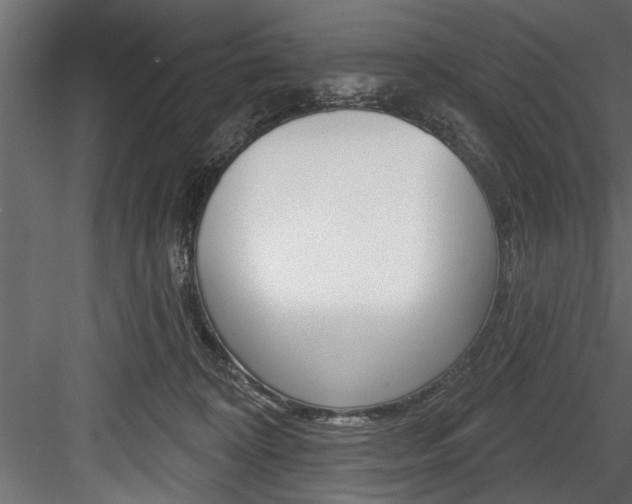 X0000084520324200702230844