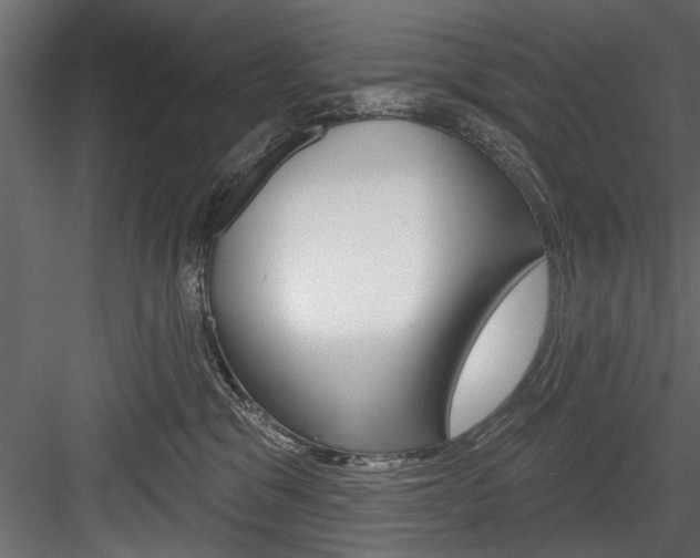 X0000084520329200702230844