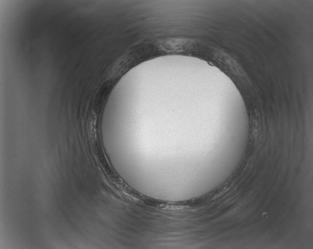 X0000084520332200702230844