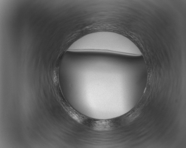 X0000084520335200702230844