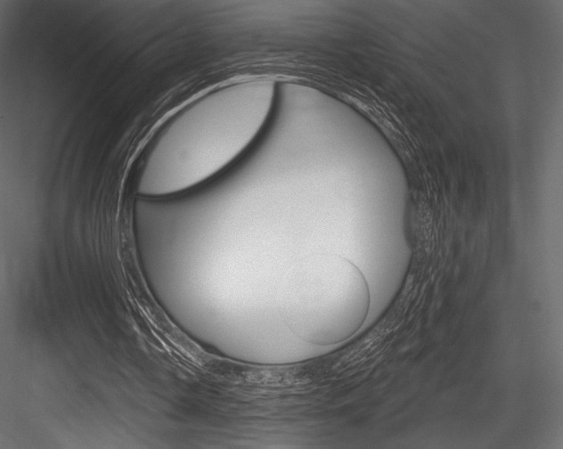 X0000084520338200702230843
