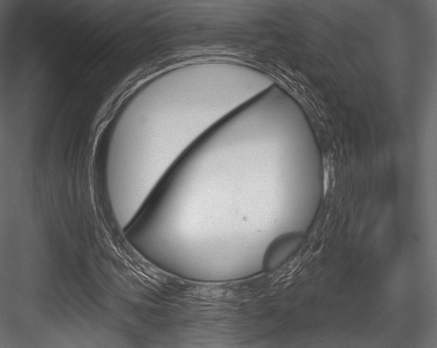 X0000084520339200702230843