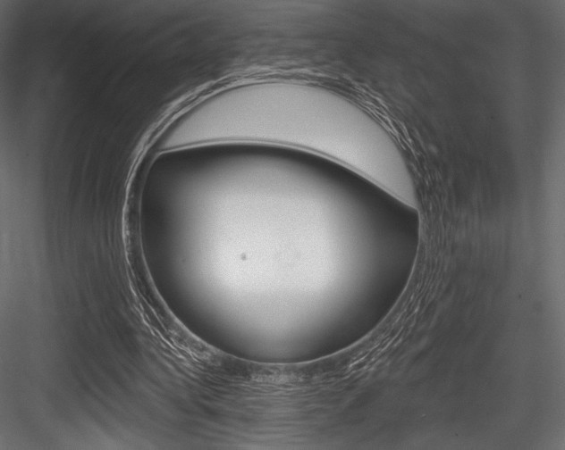 X0000084520340200702230843