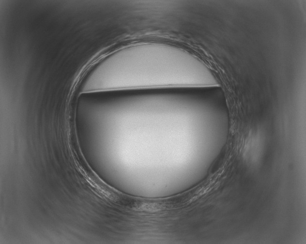 X0000084520341200702230843