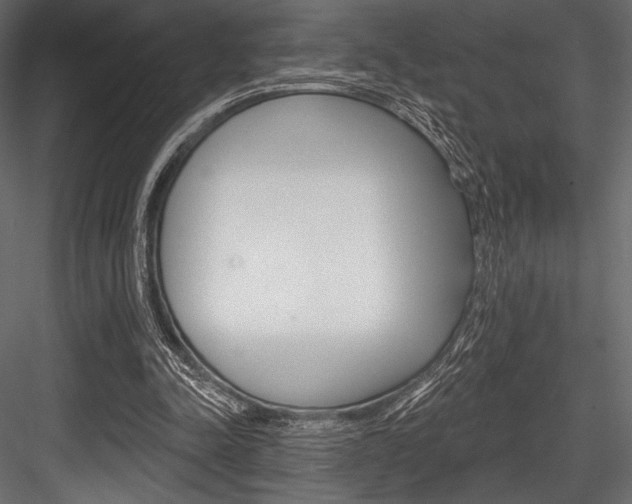 X0000084520342200702230844