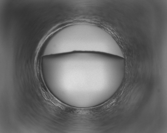 X0000084520343200702230844