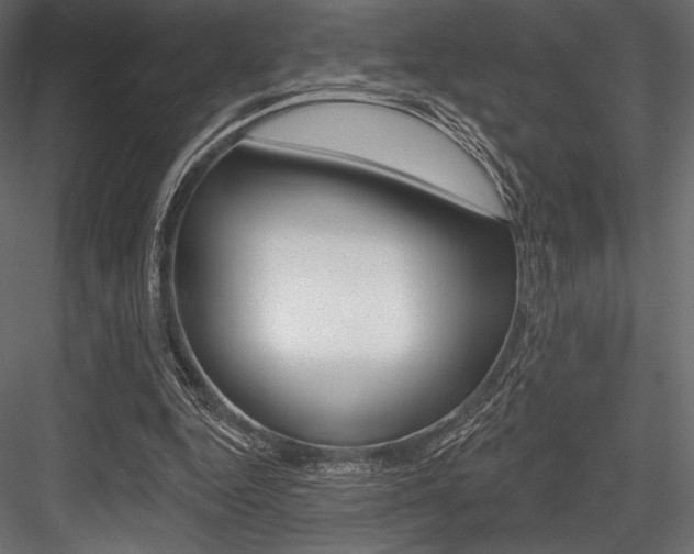 X0000084520344200702230844