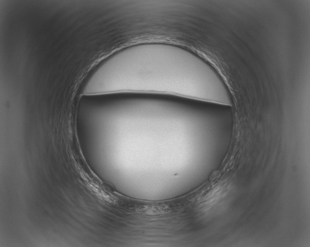 X0000084520345200702230844