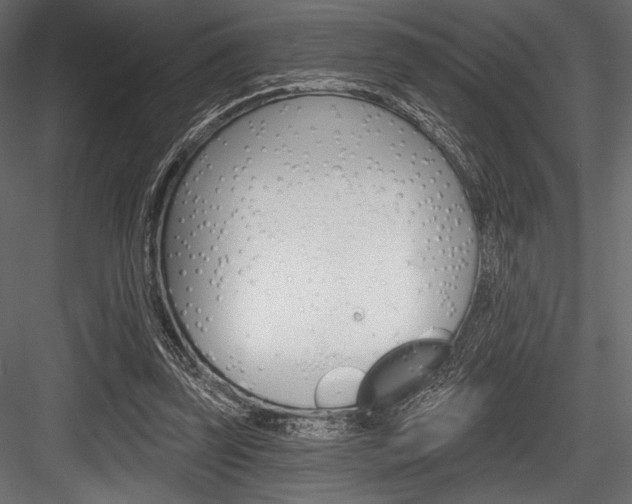 X0000084520347200702230844