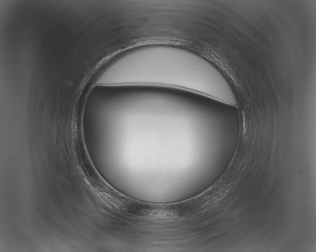 X0000084520348200702230844