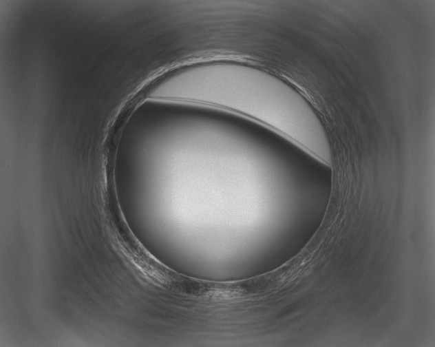 X0000084520350200702230844