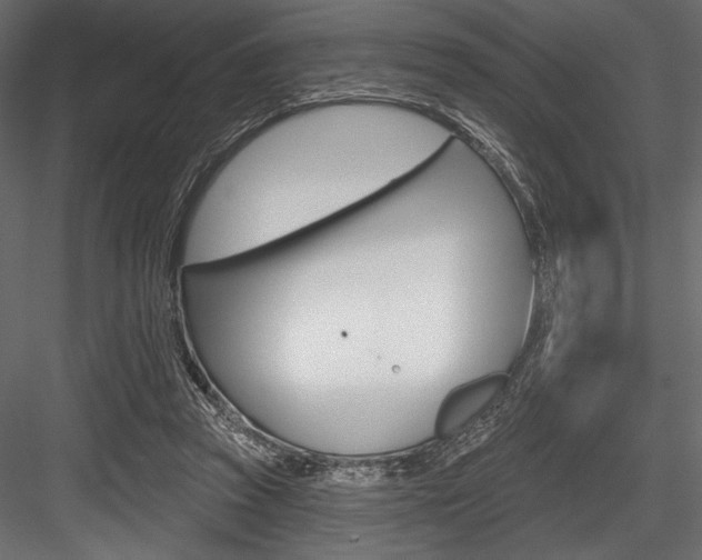 X0000084520353200702230844