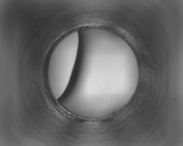 X0000084520354200702230844