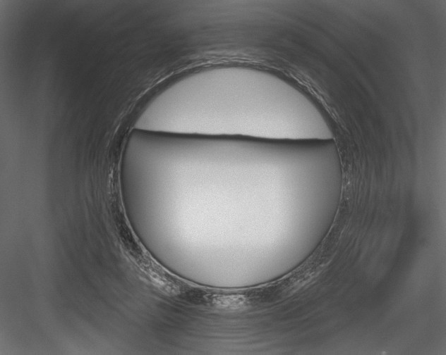 X0000084520355200702230844