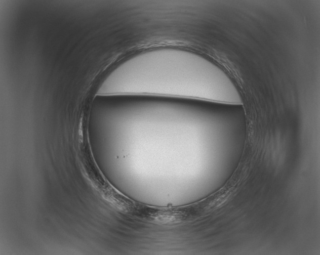 X0000084520358200702230844
