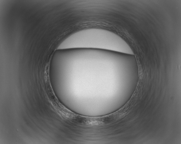 X0000084520360200702230844