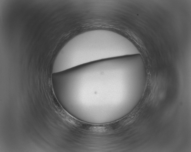 X0000084520361200702230844