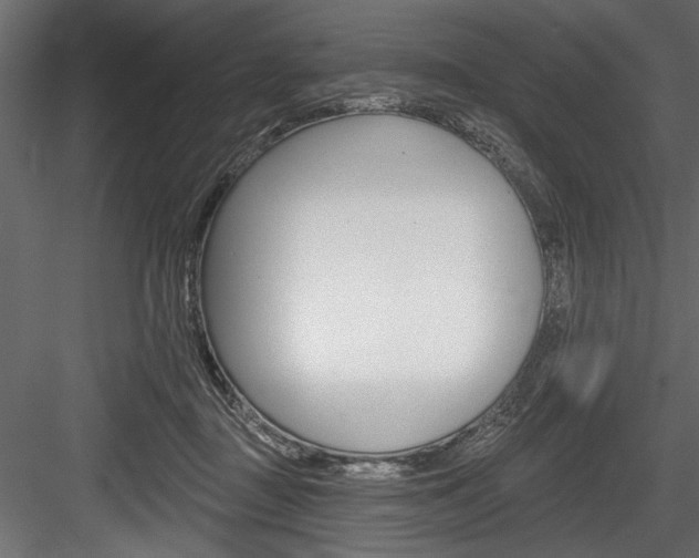 X0000084520363200702230844