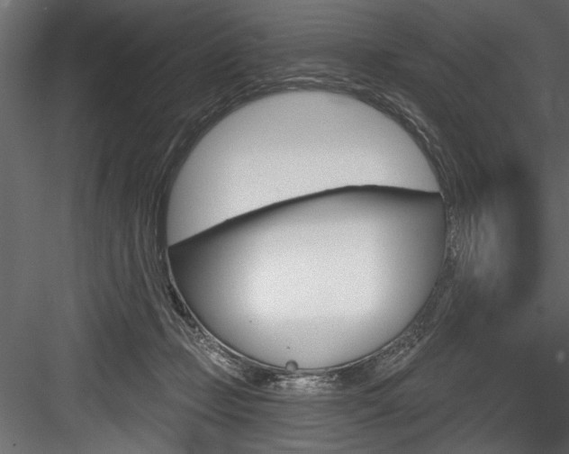 X0000084520365200702230844