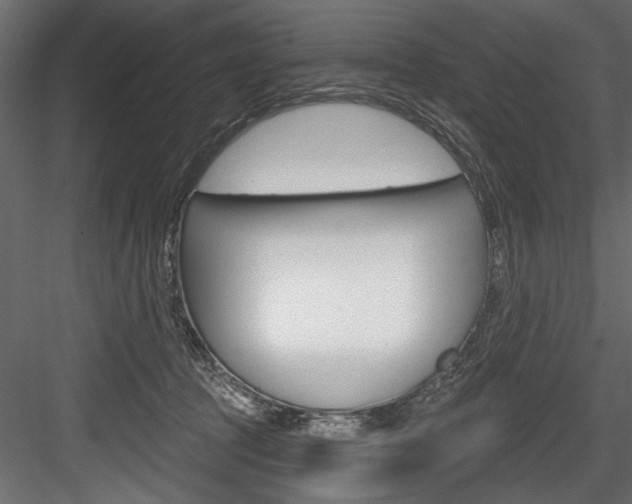 X0000084520369200702230844