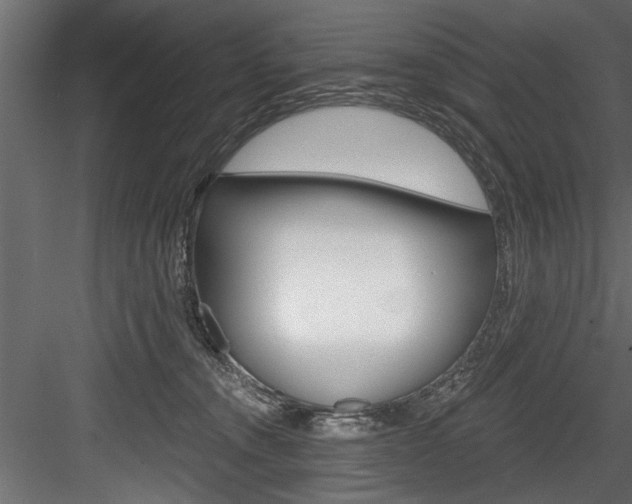 X0000084520372200702230844