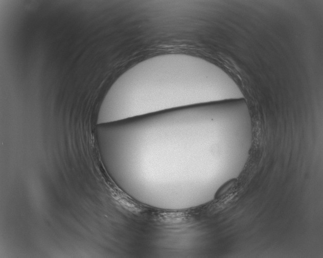 X0000084520377200702230844