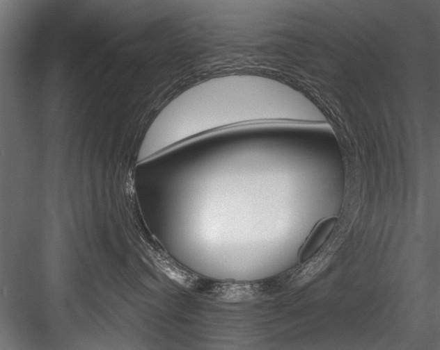 X0000084520384200702230844