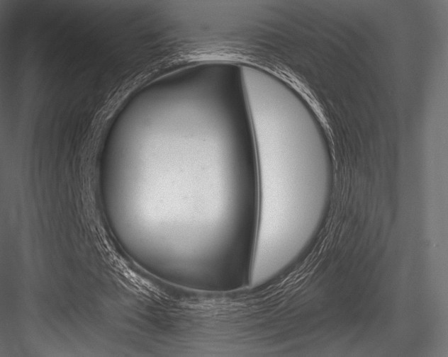 X0000084520385200702230843