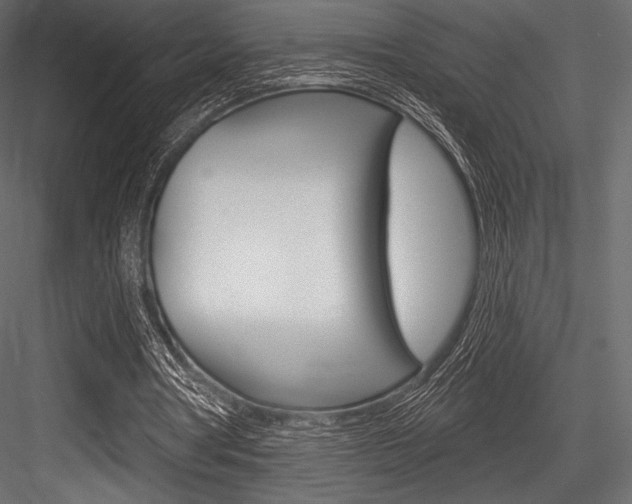 X0000084520386200702230843
