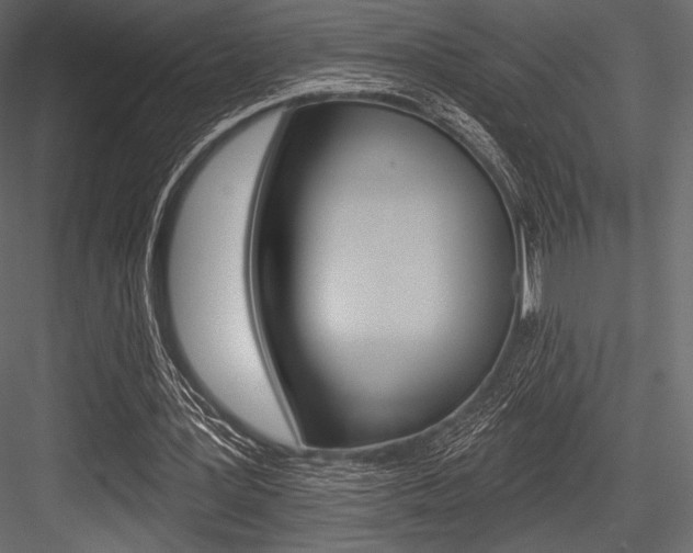 X0000084520387200702230843