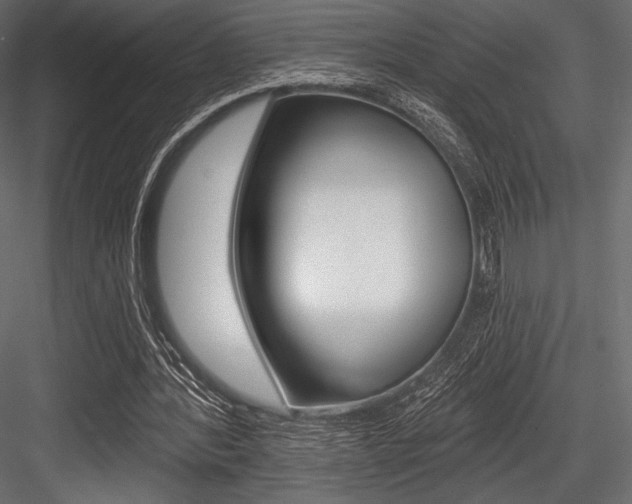 X0000084520388200702230843