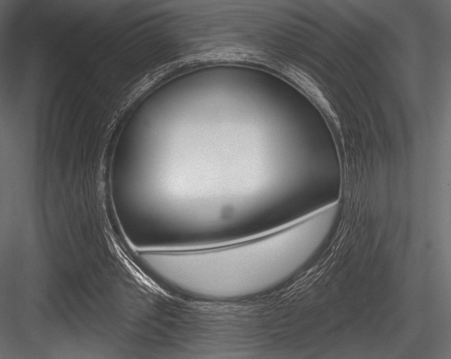 X0000084520389200702230843