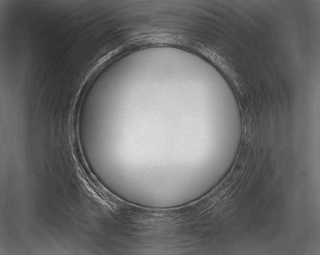 X0000084520390200702230843