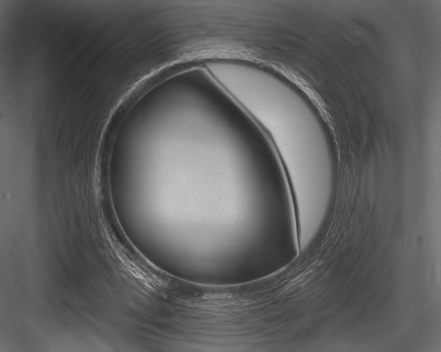 X0000084520391200702230843