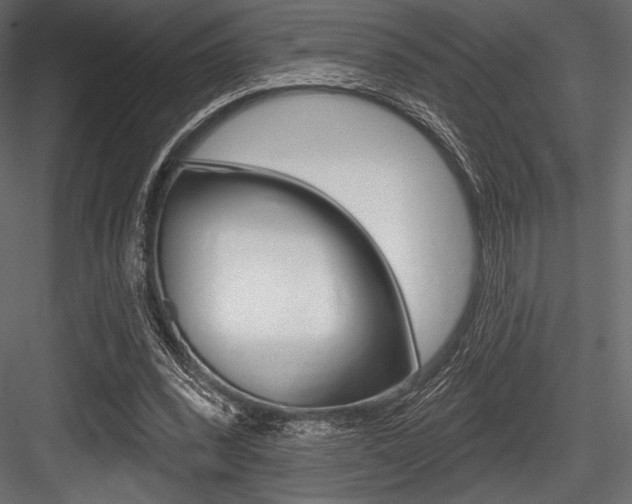 X0000084520392200702230843