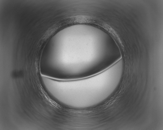 X0000084520393200702230843