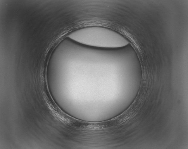 X0000084520394200702230843