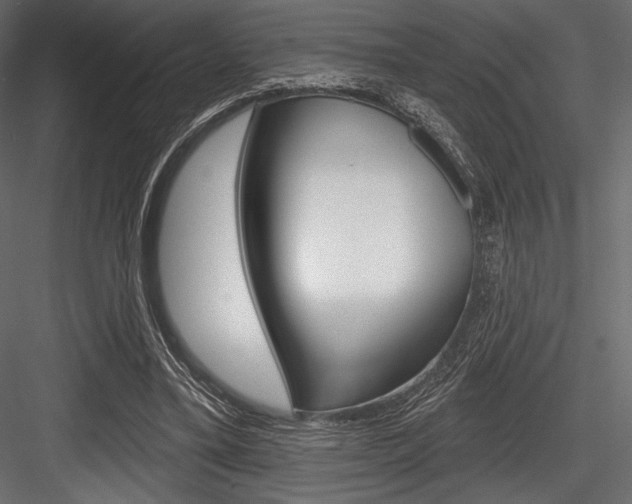 X0000084520395200702230843