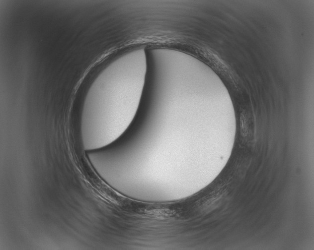X0000084520396200702230843