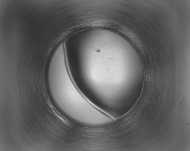 X0000084520397200702230843