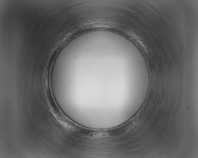 X0000084520398200702230843